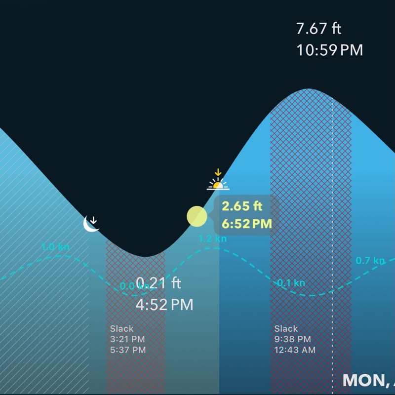 Tide Alert app showing standing wave current pattern with slack water occurring near high and low tide